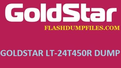 GOLDSTAR LT-24T450R
