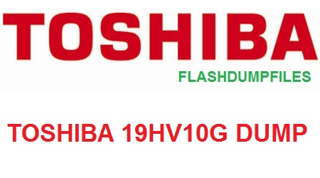 TOSHIBA 19HV10G