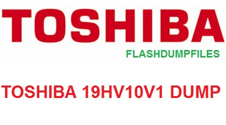 TOSHIBA 19HV10V1