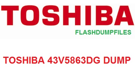 TOSHIBA 43V5863DG
