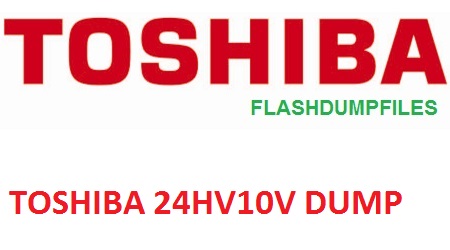 TOSHIBA 24HV10V