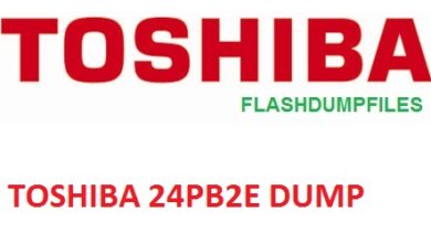 TOSHIBA 24PB2E