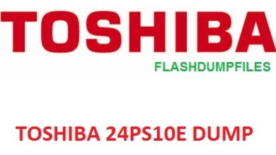 TOSHIBA 24PS10E