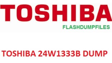 TOSHIBA 24W1333B