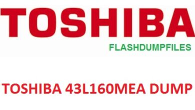 TOSHIBA 43L160MEA