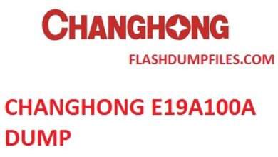 CHANGHONG E19A100A