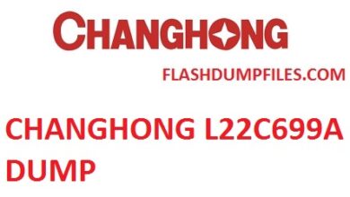 CHANGHONG L22C699A