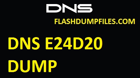 DNS E24D20