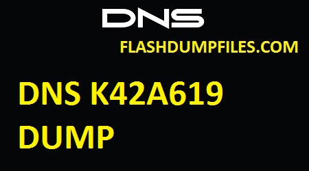 DNS K42A619