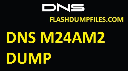 DNS M24AM2