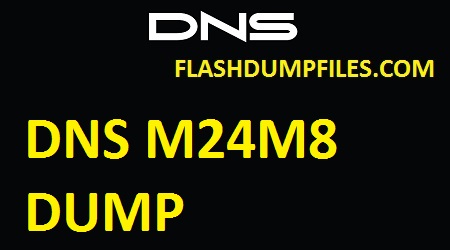 DNS M24M8