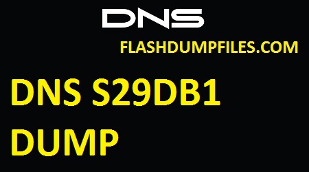 DNS S29DB1