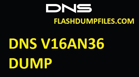DNS V16AN36