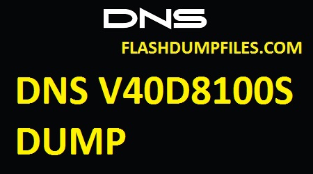 DNS V40D8100S