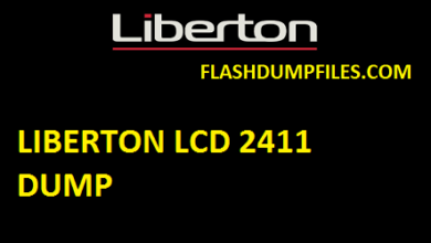 LIBERTON LCD 2411