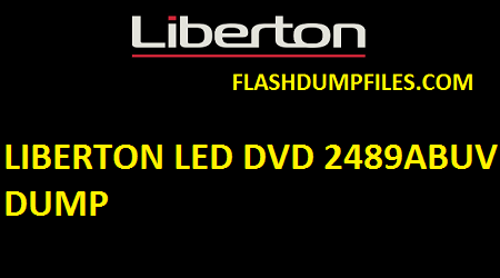 LIBERTON LED DVD 2489ABUV